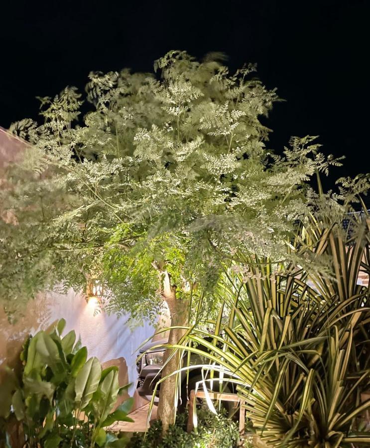 Recanto Maria Flor 弗雷谢拉斯 外观 照片